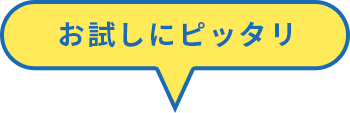 お試しにピッタリ